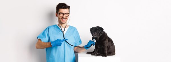 Vet Consultation